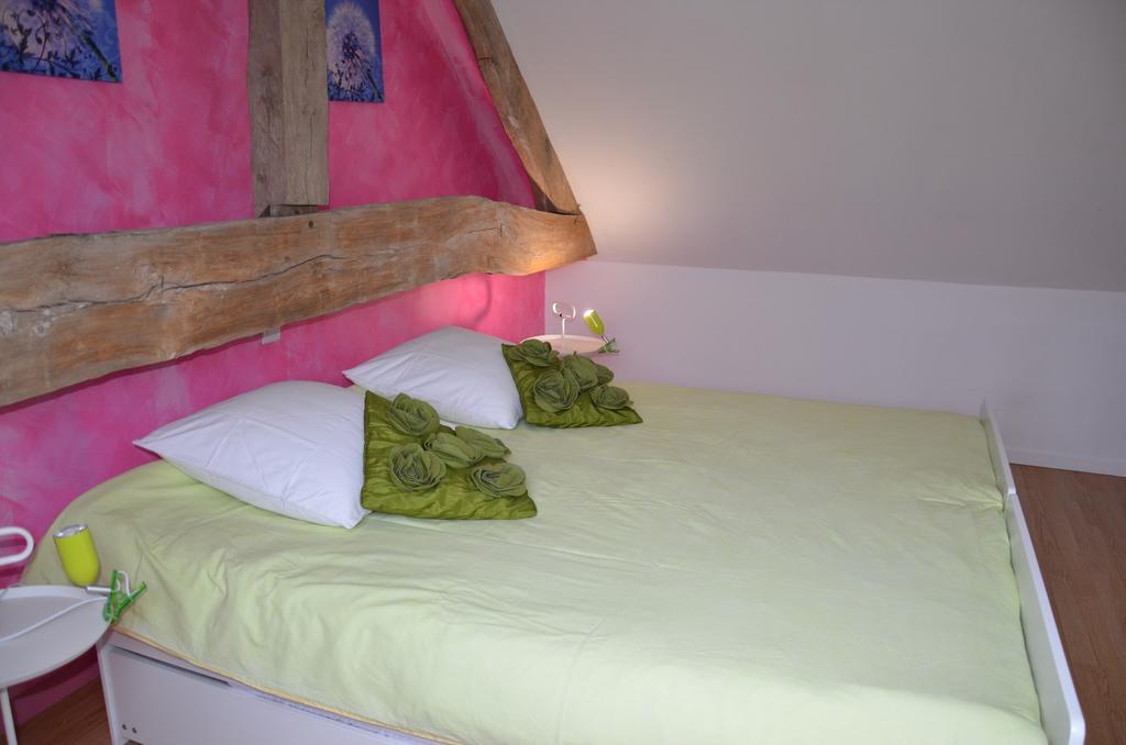La Grange De La Gandonnerie Bauge-en-Anjou Quarto foto