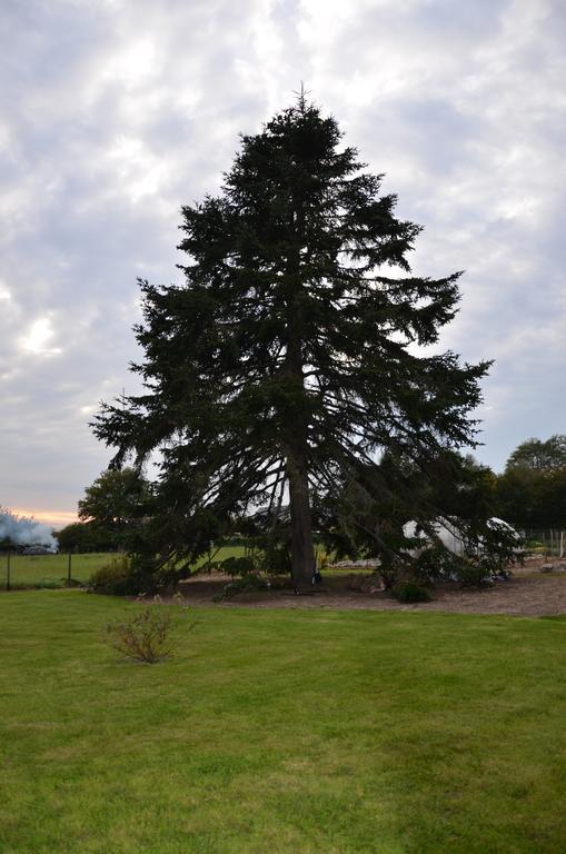 La Grange De La Gandonnerie Bauge-en-Anjou Exterior foto